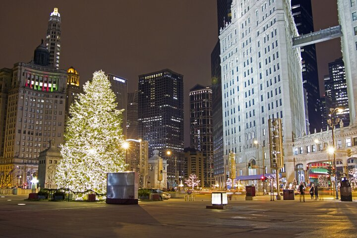 Chicago Private Christmas & Christkindlmarket Walk - Photo 1 of 6